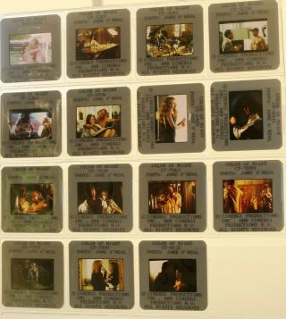 Color Of Night (1994) Bruce Willis Jane March 15 Rare Vintage Slides