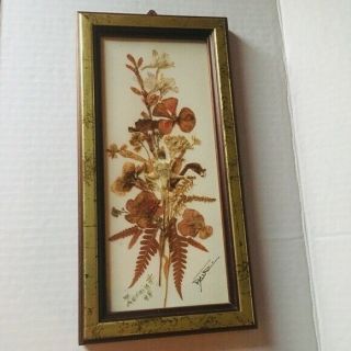 Vintage Pressed Real Dry Flowers In Wooden Frame