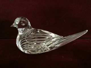Vintage Signed Waterford Crystal 5.  5 " Dove Bird Paperweight Desktop Figurine