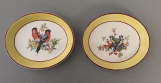 Set Of 2 Vintage Mottahedeh Italy Bird Yellow Oval Plates Pin Dish Signed S.  5536