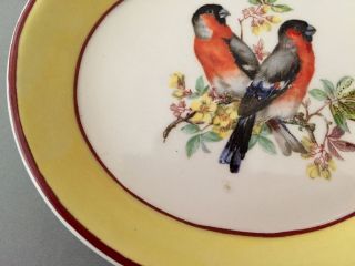 Set of 2 Vintage MOTTAHEDEH Italy Bird Yellow Oval Plates Pin Dish SIGNED S.  5536 4