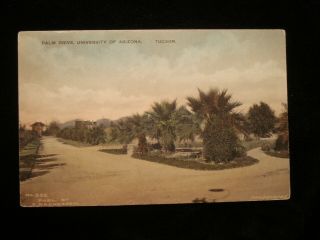 Tucson Az; Palm Drive At University Of Arizona Hand - Colored Vintage Postcard
