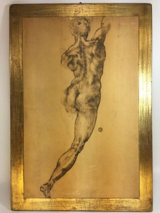 Vintage Fratelli Alinari Mid Century Print On Wood: Number 1011 - 15.  5 X 10.  5