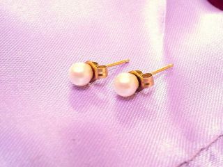 Vintage 14kt Yellow Gold Akoya - Pearls 4.  5mm Round Ladies Earrings