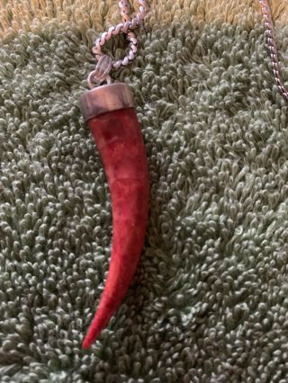 Vintage Coral Horn Of Plenty With Silver Mount On 22 In Siver Chain