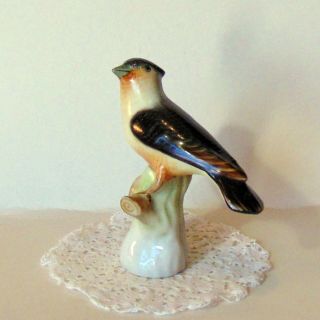 Vintage Porcelain Hungarian Herend Colorful Singing Bird Figurine Handpainted