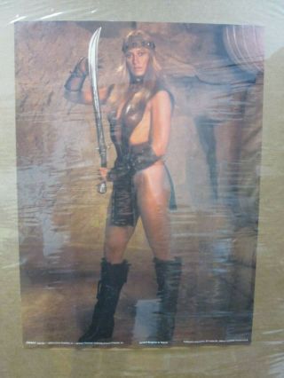 Conan 3 1982 Sandahl Bergman As Valeria Vintage Poster Movie Inv 4392