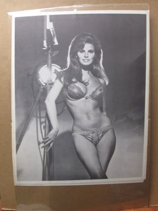 Vintage Poster Rachel Welch Hot Girl Black And White 1970 