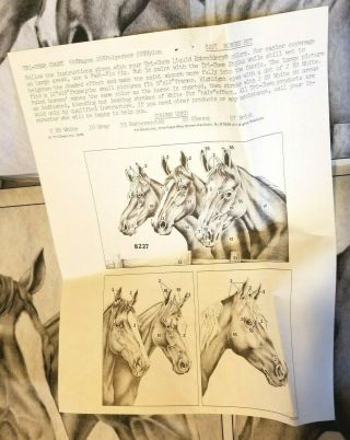 Tri - Chem Liquid Embroidery Pictures to Paint Horse Bundle of 4 Vintage 1978 1980 7