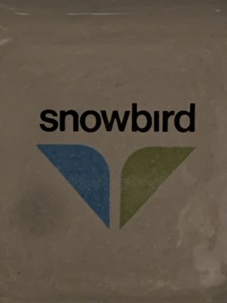 Vintage Snowbird Utah Ski Resort Ceramic Ashtray 2