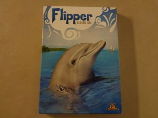 Flipper Season One DVD Set 4 Discs 30 Episodes Vintage 1960 ' s TV Series Dolphin 2