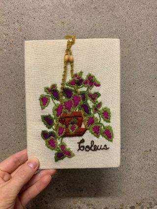 Vintage Crewel Embroidery Of Hanging Macrame Planter Coleus