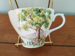 Shelley Vintage bone china tea cup and saucer 