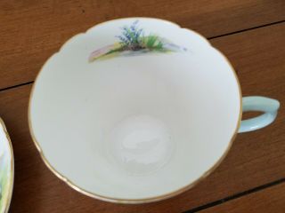 Shelley Vintage bone china tea cup and saucer 