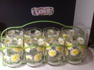 Set Of 8 Vintage Libbey 6 Oz Daisy Drinking Glasses With Carrier