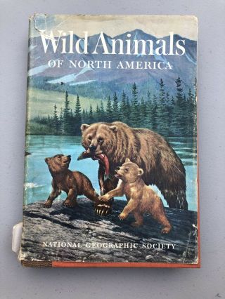 Vintage 1960 National Geographic Wild Animals Of North America Hardcover