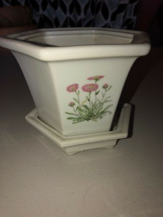 Vintage Chinese Cascade Bonsai Pot W/ Flowers
