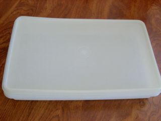 Vintage Tupperware 794 - 6 Deli Meats Bacon Keeper With 795 - 6 Lid