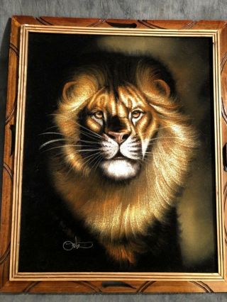 Lion Painting On Velvet Signed Ortiz Framed Vtg.  1970’s 22.  5” X 18.  5” Detailed