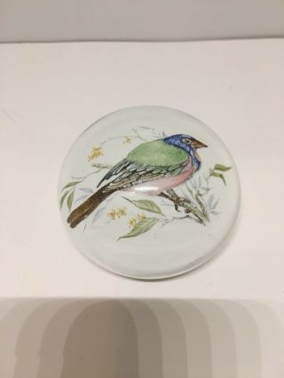 Vintage Murano Glass Paperweight Encased Image Of Bird Pink Blue Green Italy