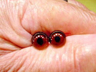 a pair vintage solid Glass Eyes size 9 mm teady bear taxidermy age 1910 Art A85 5