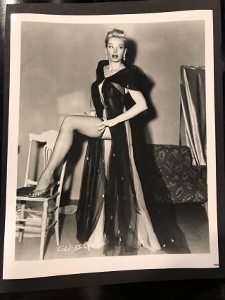 Lili St.  Cyr Vintage 8 X 10 Photograph From Irving Klaws Archives 31