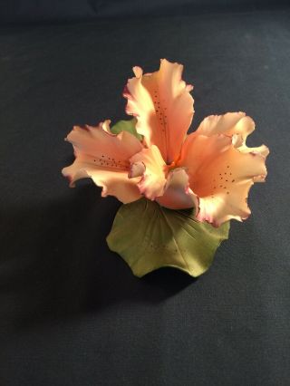 Vintage Fine Porcelain Capodimonte Single Lilly Flower
