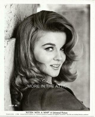 Young Sexy Ann Margret Is A Kitten With A Whip Orig Vintage Universal Pictures