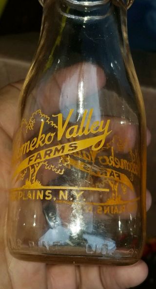 Vintage Half Pint Milk Bottle Shekomeko Valley Farms Pine Plains Ny Dairy Htf