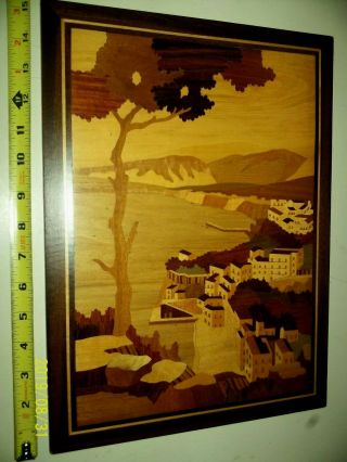 Vintage 9 " X13” Vintage Notturno Sorrento Italy Inlaid Wood Marquetry Art Picture