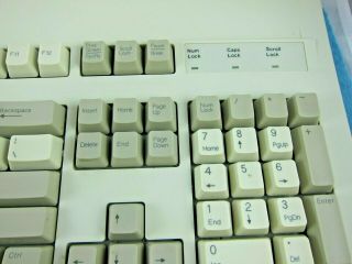 Vintage Dell AT101W CLICKY Mechanical Keyboard GYUM90SK,  USB -, 3