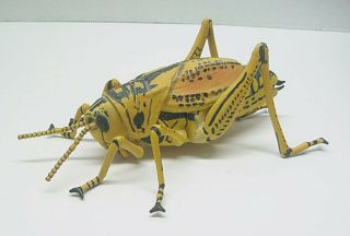Huge Lubber Grasshopper Giant Insect Toy Safari Ltd Smithsonian Vintage Rare