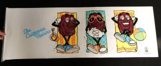 Vintage California Raisins Banner Sign Roll Out Rare 50 " X 16 1/2 " Applause 1987