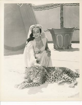 Maria Montez Candid Tiger Studio Set Vintage Arabian Nights Photo