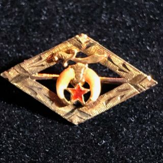 Vintage Masonic Shriners 10k Gold Pin.