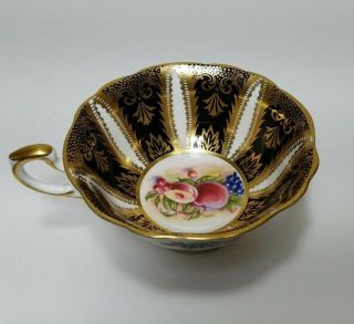 Vintage Bone China Gold & Black Paragon Footed Teacup Cup and Saucer With Fruit 6