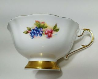 Vintage Bone China Gold & Black Paragon Footed Teacup Cup and Saucer With Fruit 7