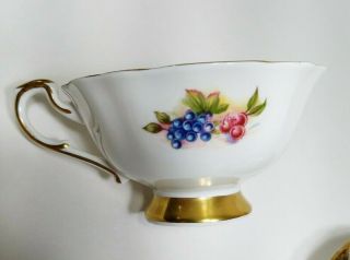 Vintage Bone China Gold & Black Paragon Footed Teacup Cup and Saucer With Fruit 8