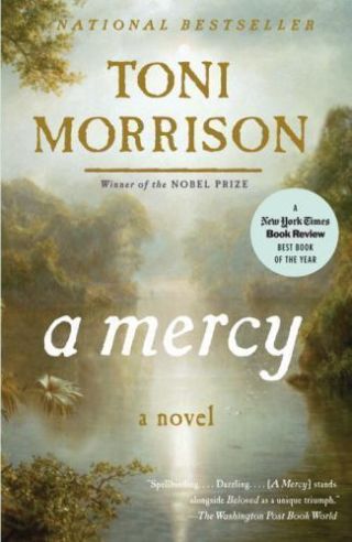 A Mercy (vintage International),  Toni Morrison,  0307276767,  Book,  Good