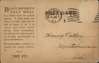 Advertising 1911 Blatchford ' s Calf Meal Postcard Vintage Post Card 3