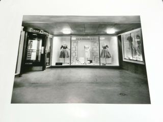 Large Vintage Chas.  A Stevens Clothing Store Front Photograph Picture (a10)