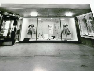 Large Vintage Chas.  A Stevens Clothing Store Front Photograph Picture (A10) 2