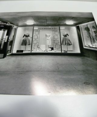 Large Vintage Chas.  A Stevens Clothing Store Front Photograph Picture (A10) 6