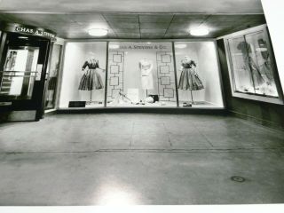 Large Vintage Chas.  A Stevens Clothing Store Front Photograph Picture (A10) 8