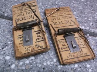 X4 vintage mouse trap Oneida community Victor 2