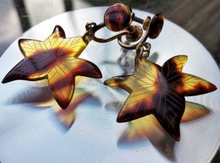 Vntg Art Deco Faux Tortoise Shell Star 1/20 12k Gold Filled Screw On Earrings