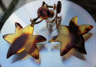 Vntg Art Deco Faux Tortoise shell star 1/20 12k gold filled screw on earrings 4