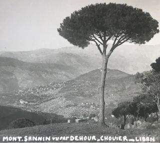 Lebanon Vintage Photo Postcard 1930s Mont Sannin Dehour El Chouier.  Janto Ed.