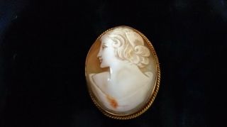 Delightful Vintage 9 Carat Yellow Gold Shell Cameo Brooch Rope Twist Setting 10g