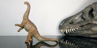 Vtg Carnegie Safari Ltd.  1996 Apatosaurus Fig.  Dinosaur Toy